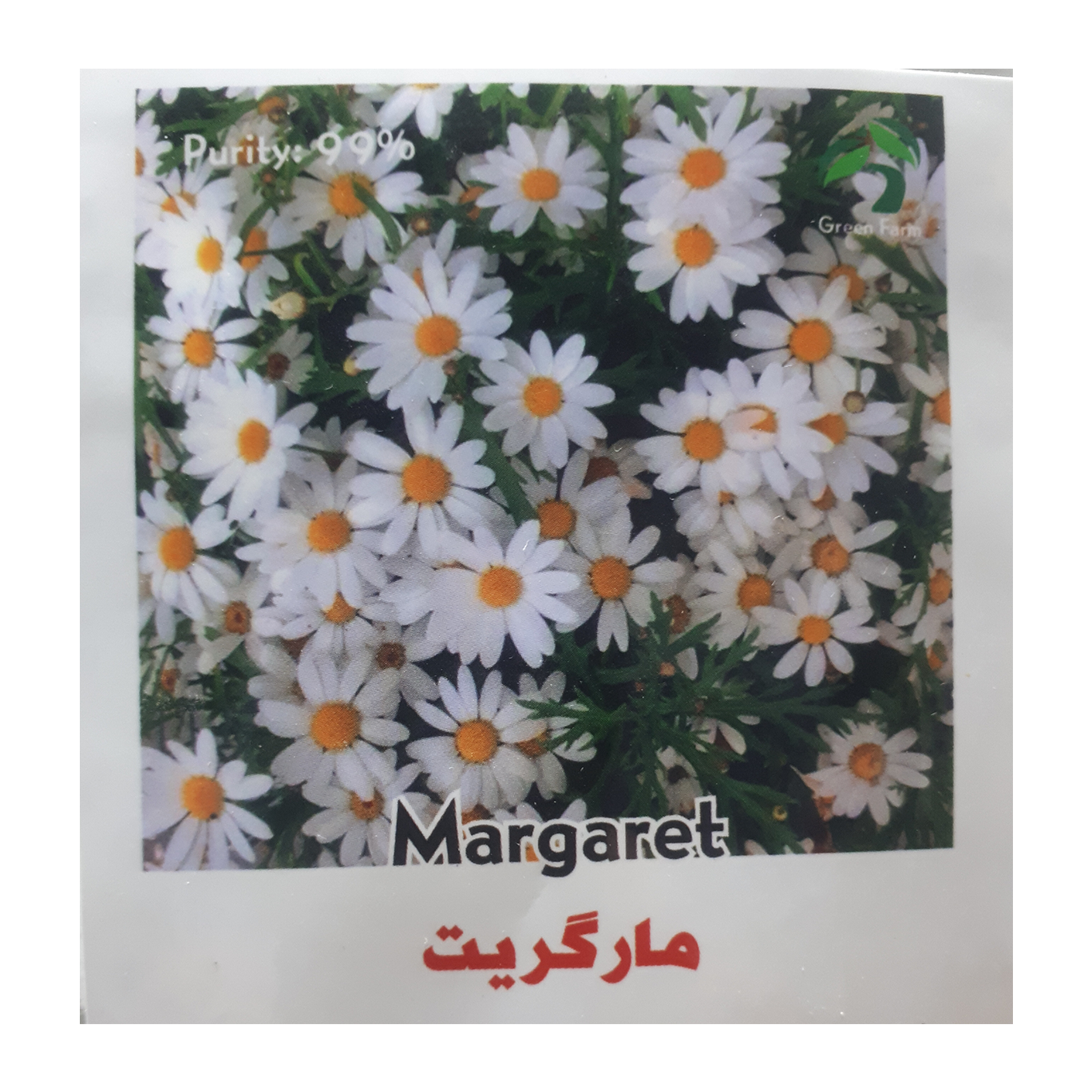 margarit