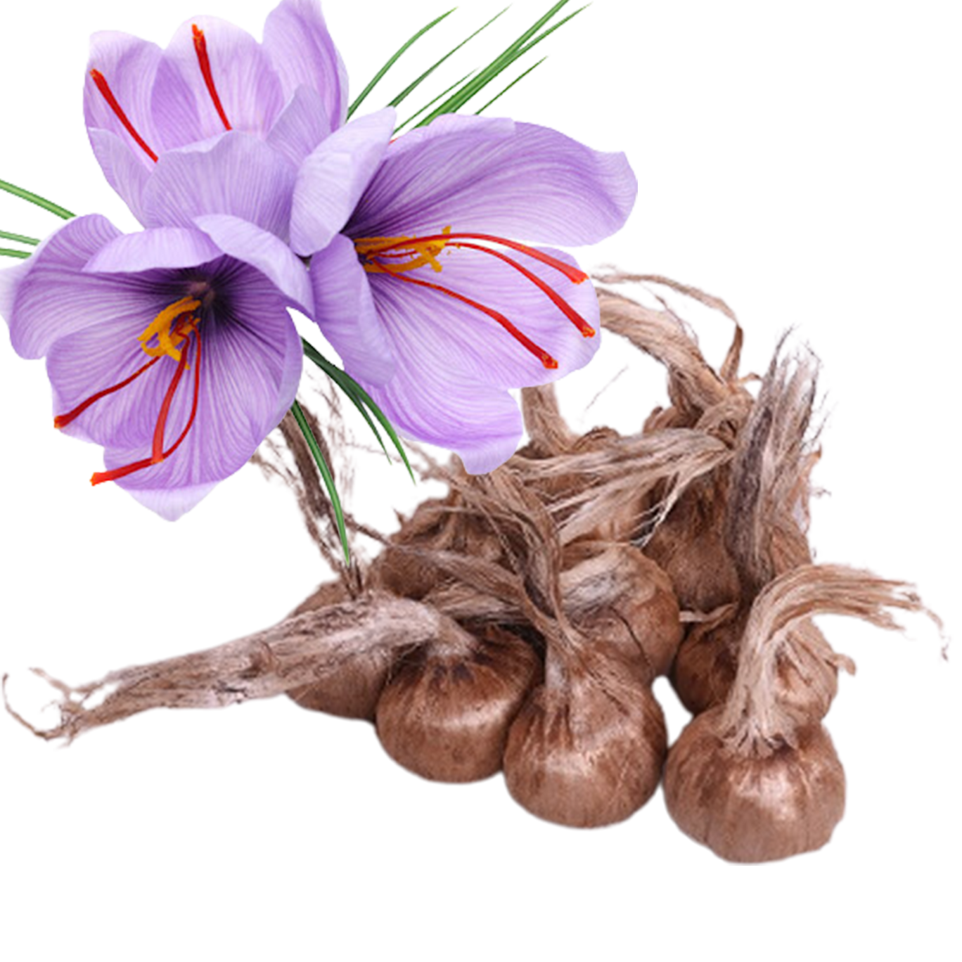 safron