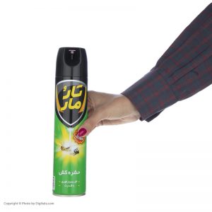 اسپری حشره کش فوری(سبز)