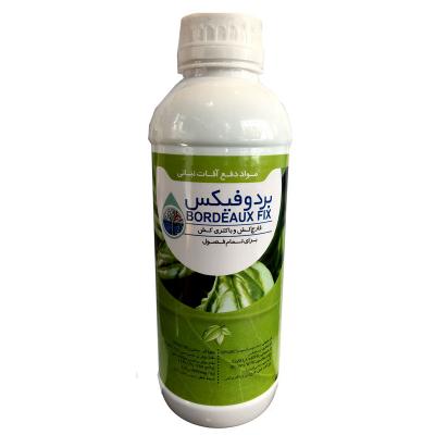 بردوفیکس