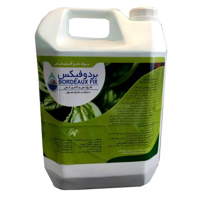 بردوفیکس 5