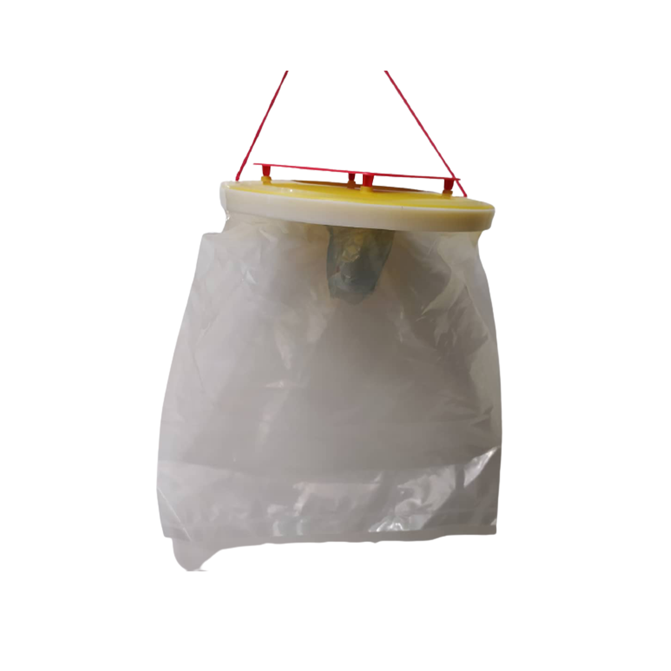 تله مگس111