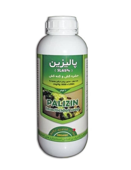 پالیزین