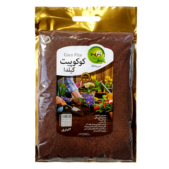 کوکوپیت-2